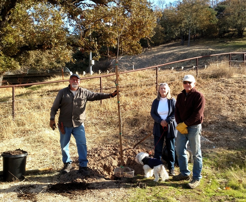 Cory, Deborah and Bruce setting the other tree